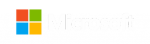 Microsoft Logo V 1
